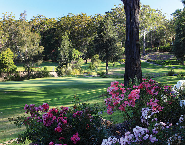 The natural amphitheatres created by native flora and fauna at Mollymook's Hilltop course are an Australian take on Augusta’s blooming azaleas.