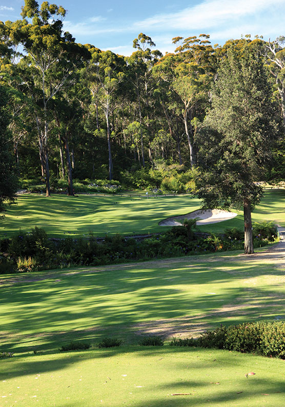 Hilltop boasts several gorgeous par 3s with towering trees and cavernous valleys.