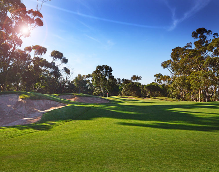 Geelong Golf Club's nine-hole course features couch fairways, boldly-contoured green complexes, pure putting surfaces, cavernous bunkers and strategic tee shots in a tranquil forest setting.