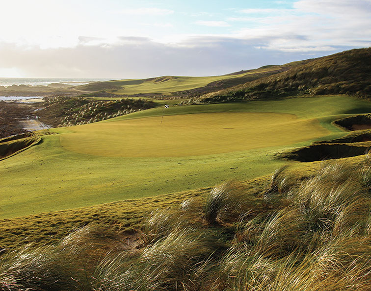 Marram grasses provide an excellent contrast to the fairways and greens. 