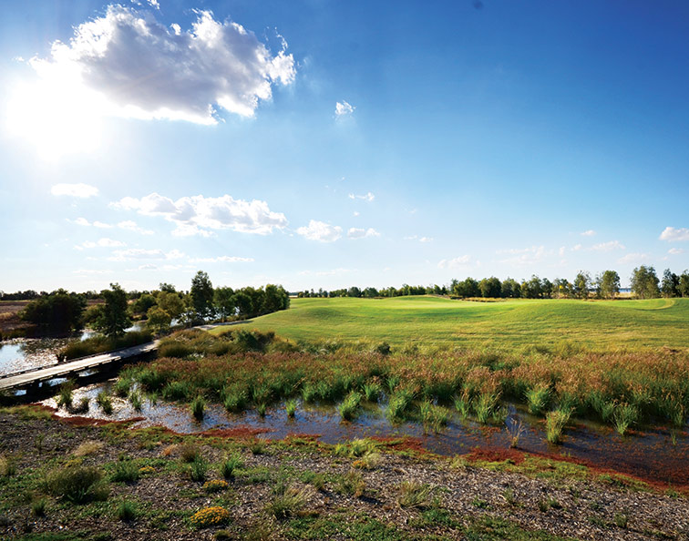  In the past 12 months Black Bull Golf Course, down on the Murray River, has enjoyed record round numbers.