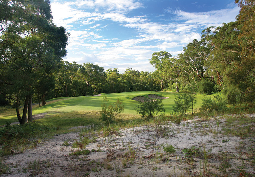 At No.19, Newcastle Golf Club is the highest-ranked layout on the central and mid-north coast. 