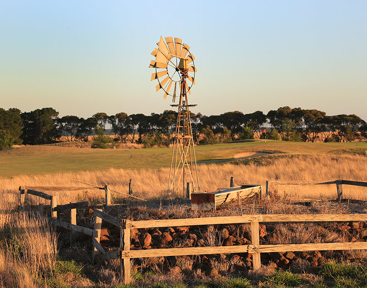 An old windmill makes for a charming feature beside the 14th green.