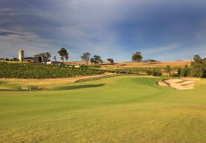 The vines of Bimbadgen Estate are unmistakable companions as you play the seventh hole