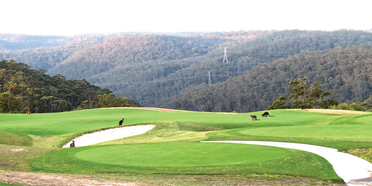 There are broader lessons to be learned in the North Turramurra Golf Club story.