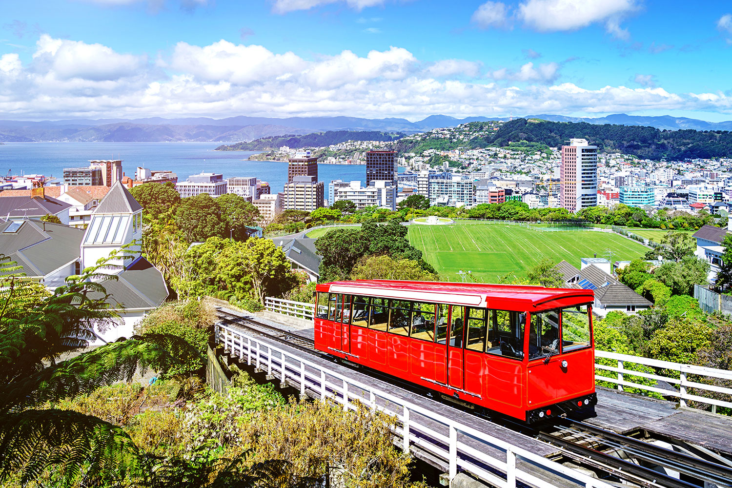 For a mere $4 you can purchase a one-way ticket to Kelburn on the iconic Wellington Cable Car.