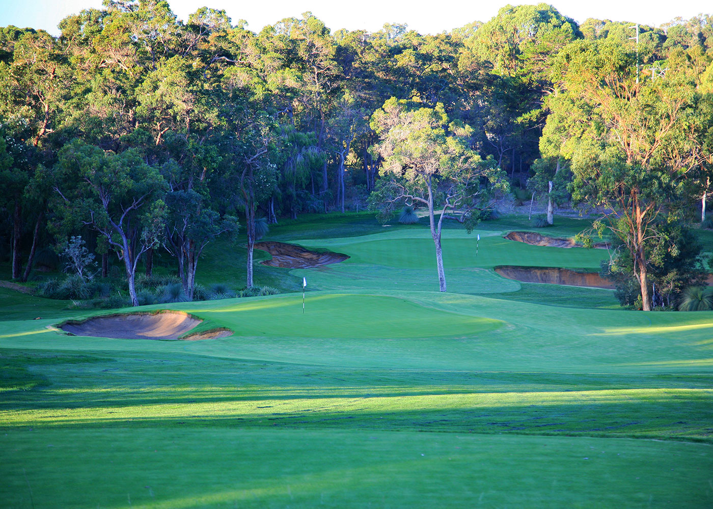 How Does The World Super 6 Perth Format Work - Australian Golf Digest