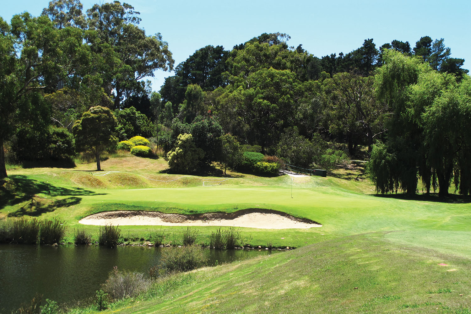 South Australian Golf