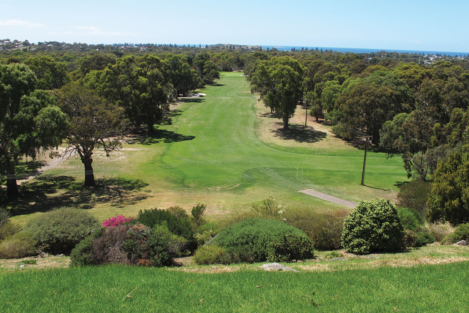 South Australian Golf