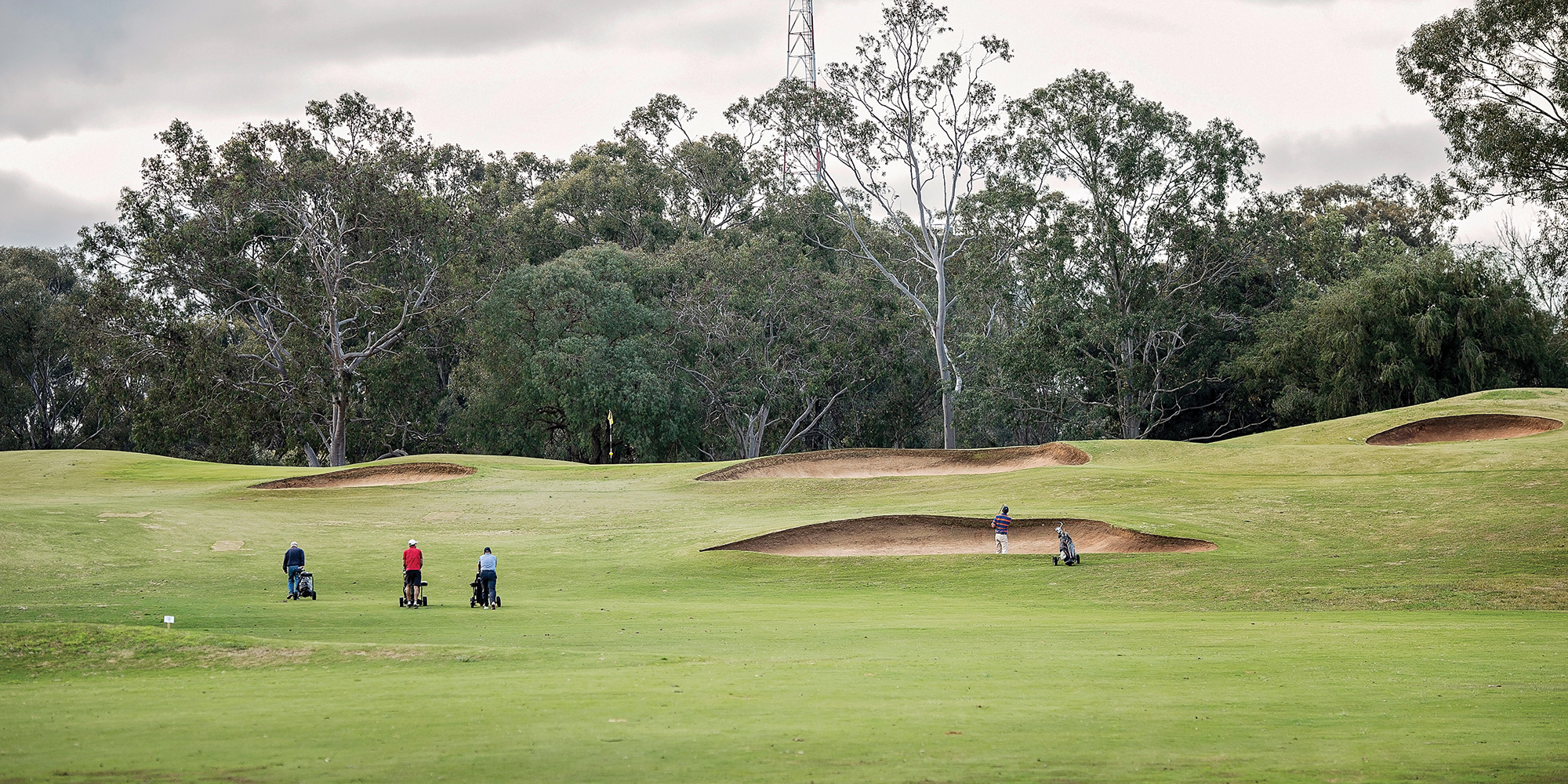 Thomson kept the bunkering subtler and chose to work within the stands of majestic river gums at Yarrawonga Mulwala.