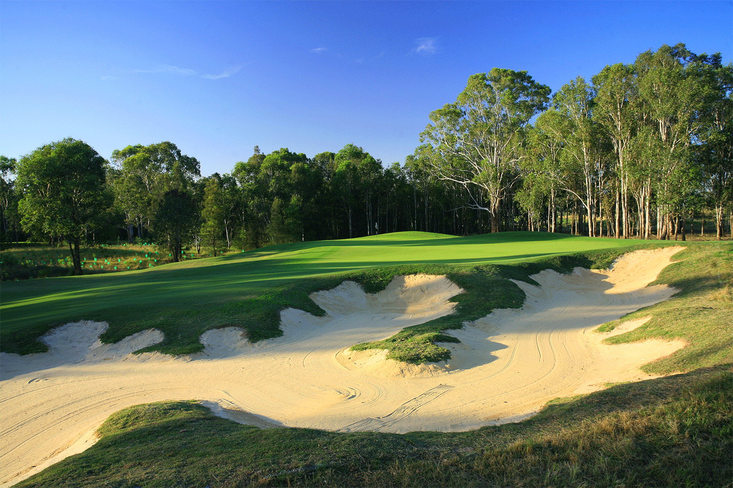 The fourth is one of the stronger par 4s.