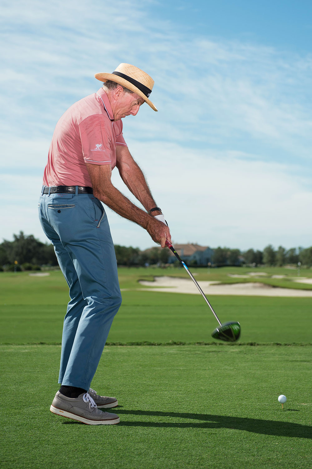 David Leadbetter: Stand and deliver