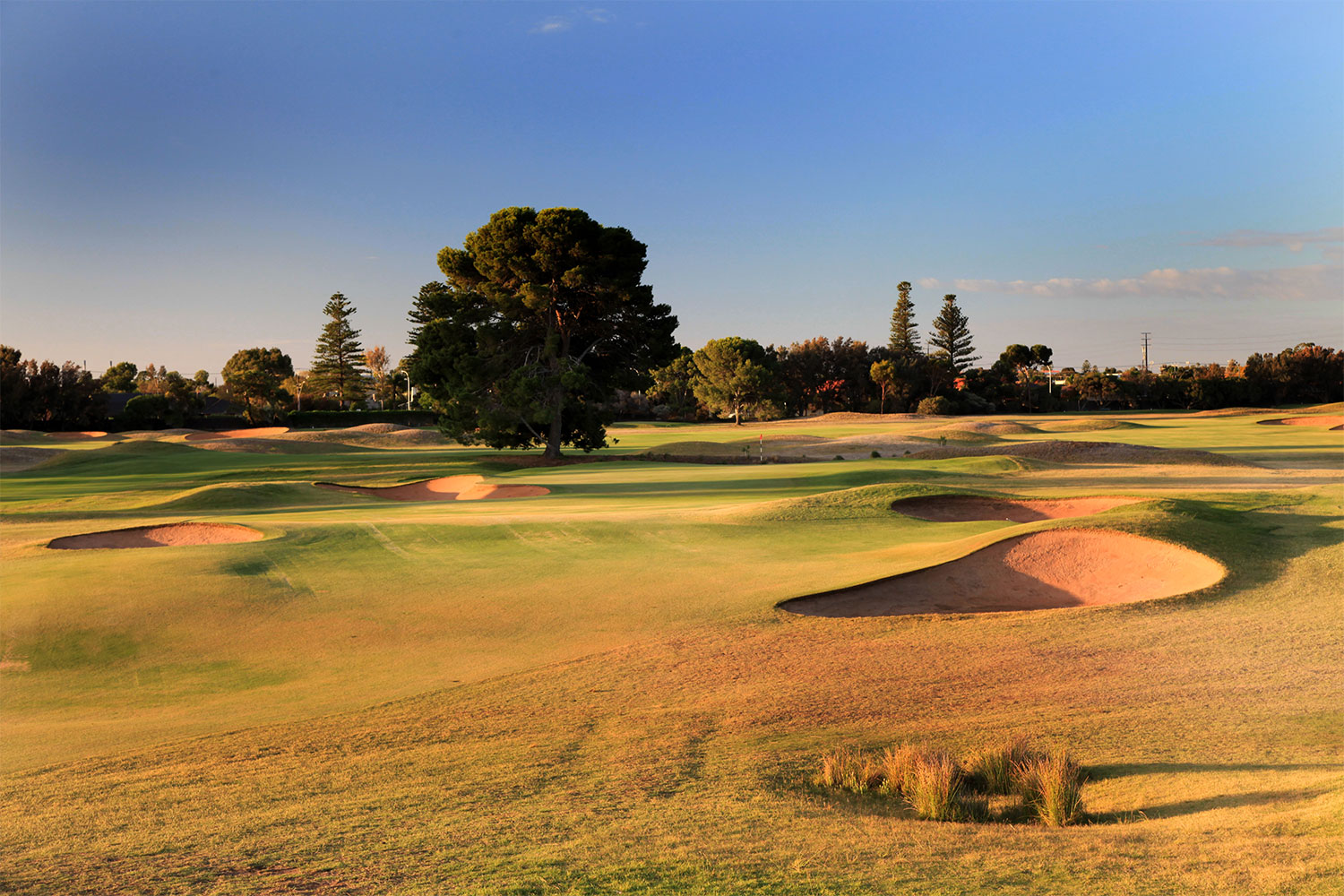 Adelaide Golf