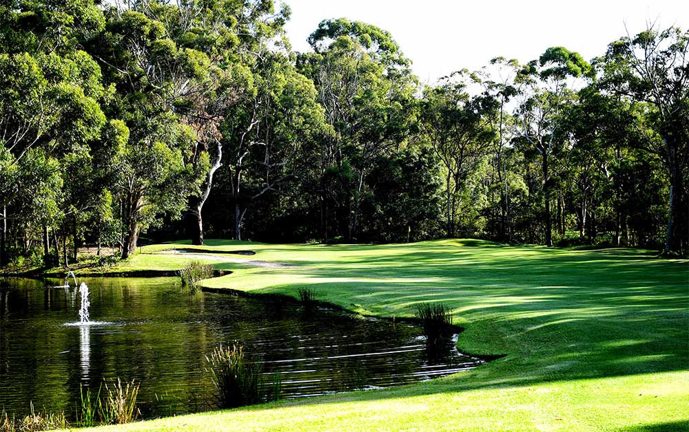 Hunter Valley Golf and Wine