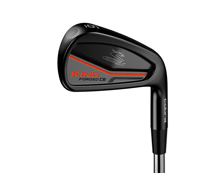King Forged Pro Irons