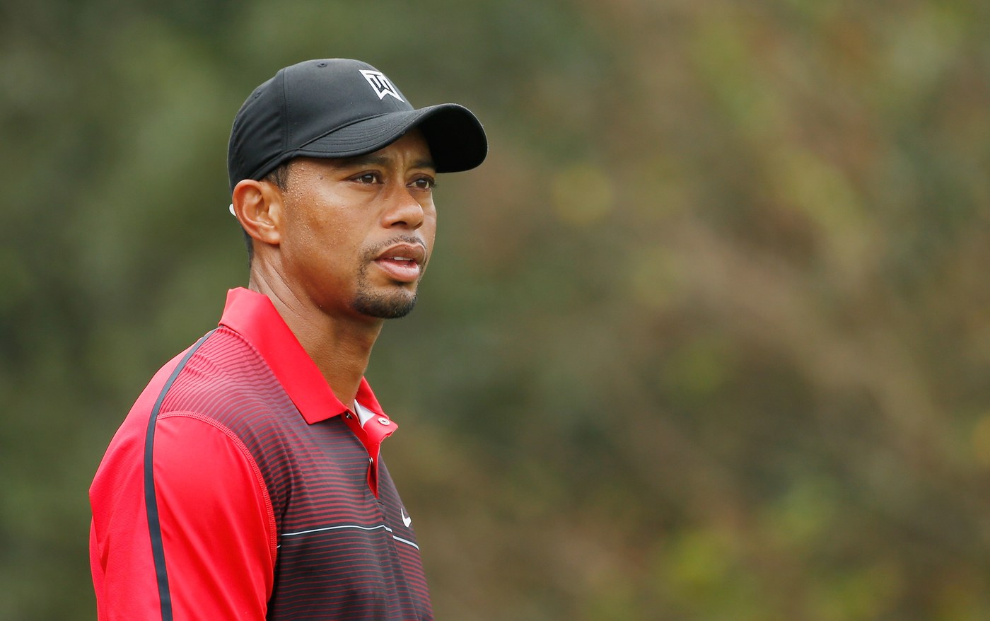 Nearly 70 per cent of US PGA Tour players don't think Tiger can do this ...