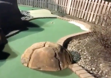 VIDEO: Is this the greatest shot in mini-golf history? (Yes)
