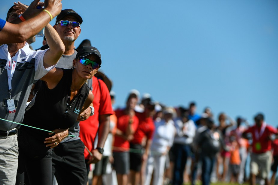 Australian PGA and Open a ratings and attendance smash
