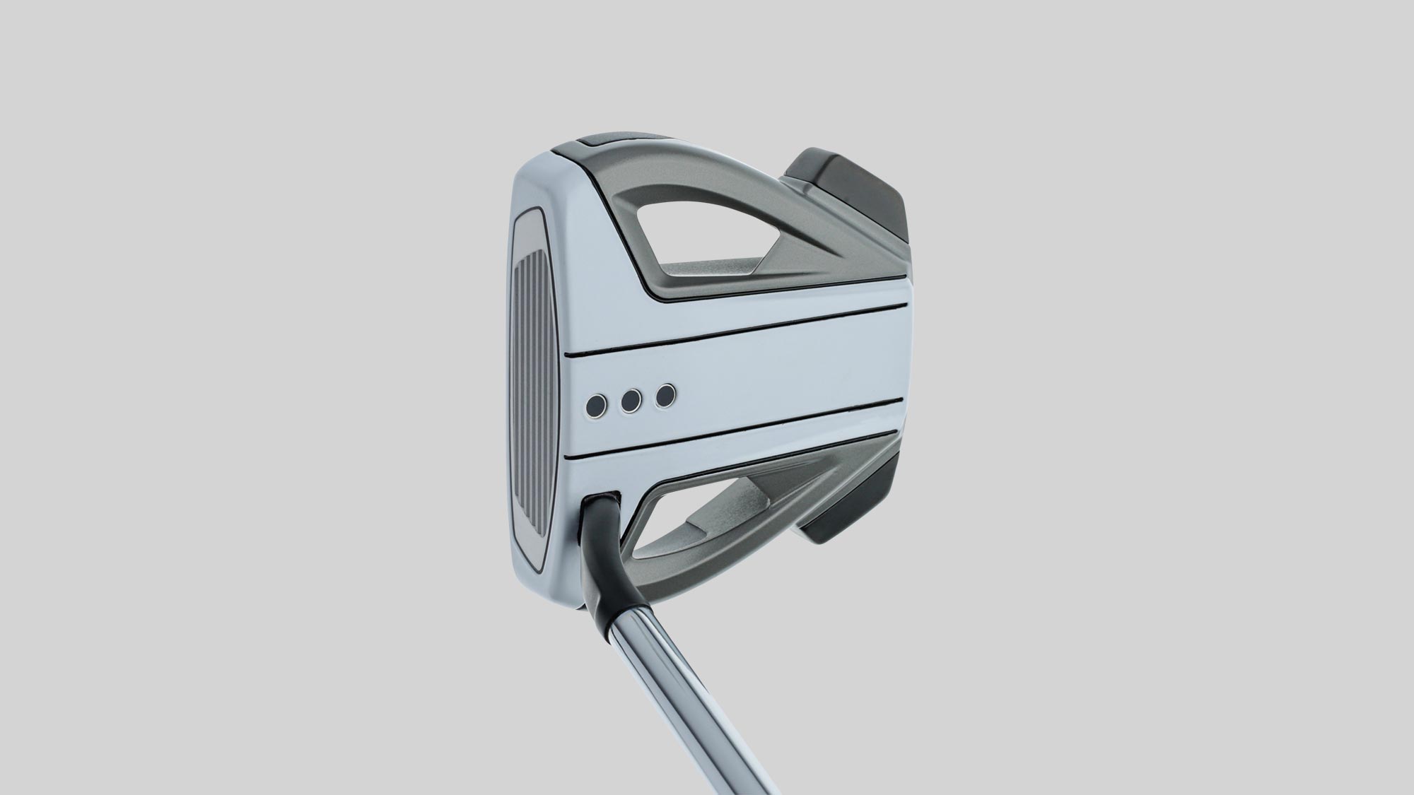 TaylorMade Spider X/EX Image 2