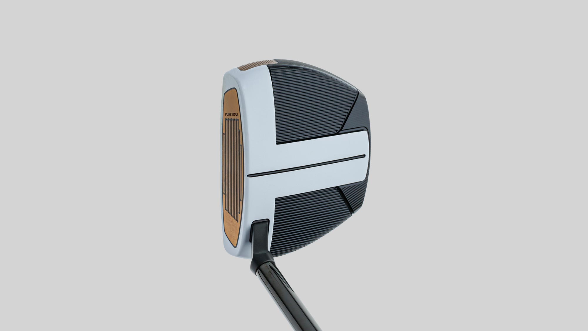 TaylorMade Spider FCG Image 2