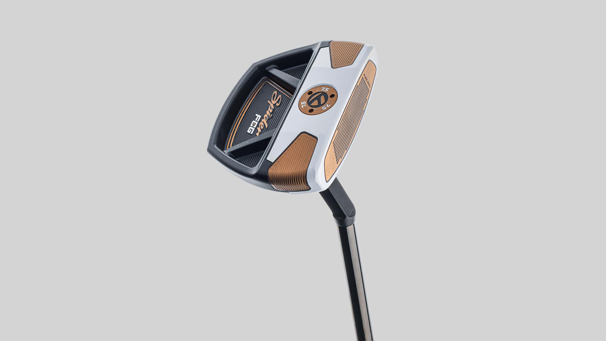 TaylorMade Spider FCG Image 0