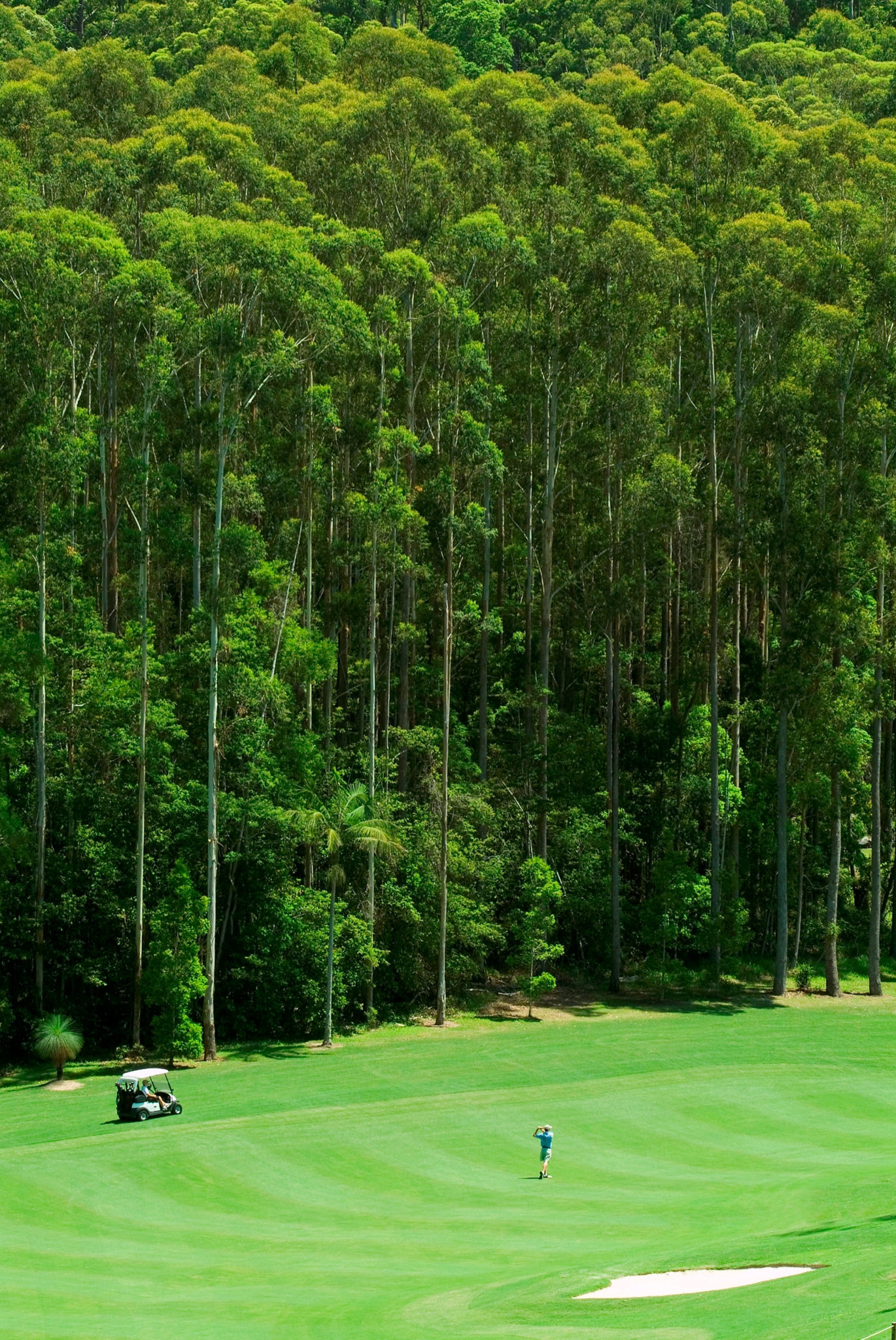 Top 100 Spotlight: Bonville Golf Resort - Australian Golf Digest