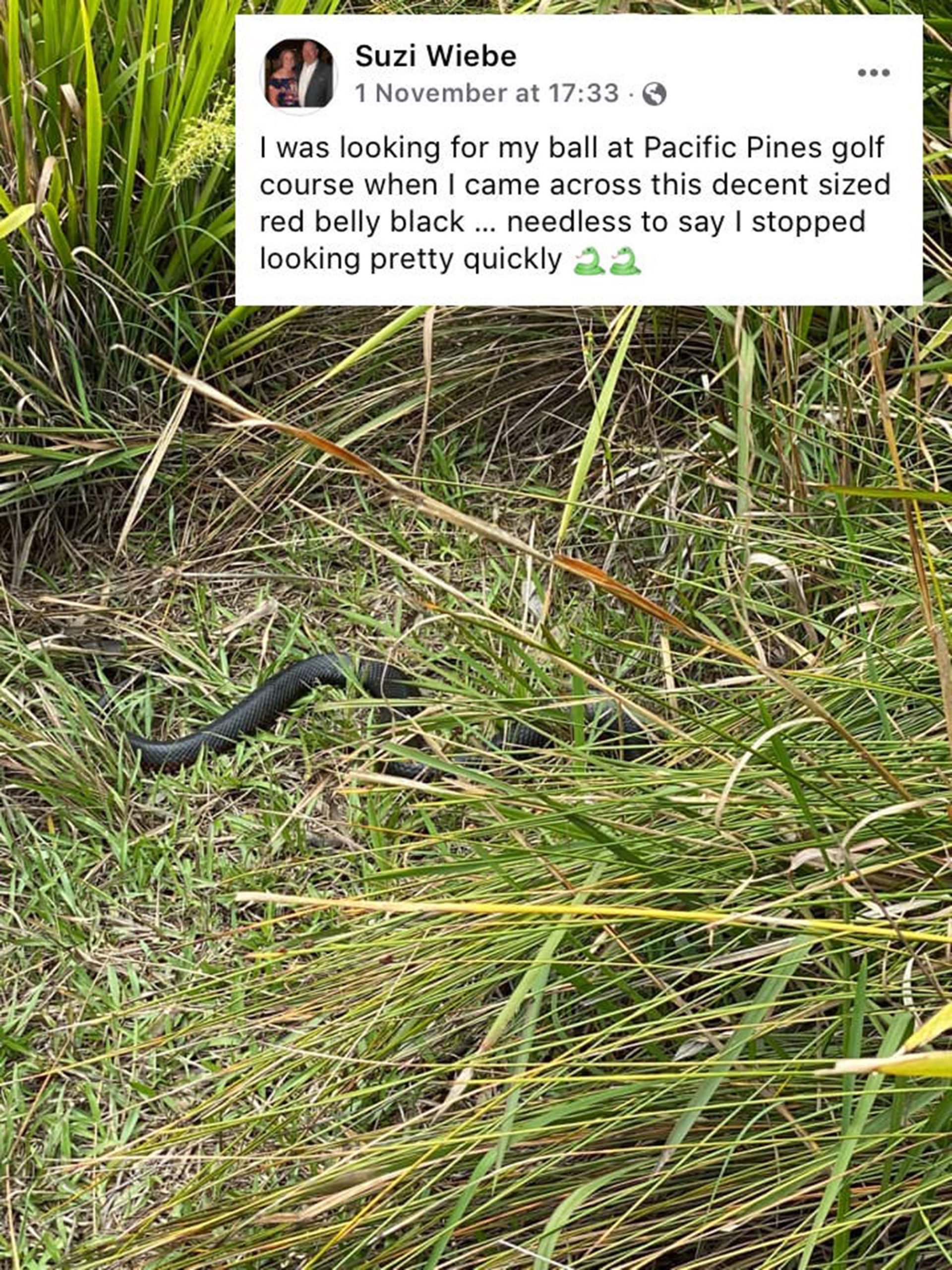 SNAKES ALIVE: A Guide To Avoiding Golf's Most Dangerous Hazards This ...