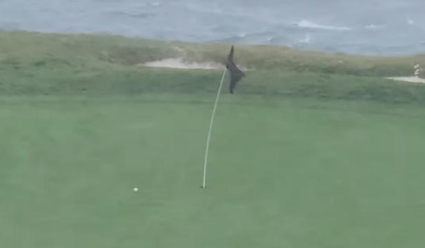 golfer-hits-driver-(!)-to-three-feet-in-gale-force-wind-at-pebble-beach’s-7th,-might-be-the-shot-of-the-century