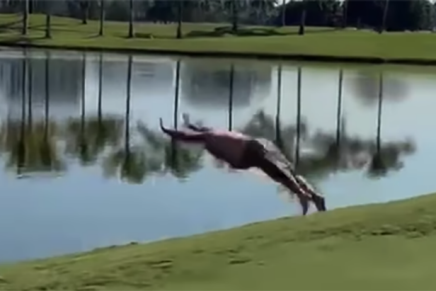 watch-john-daly-belly-flop-into-trump-doral-water-hazard-as-permanent-summer-vacation-rolls-on