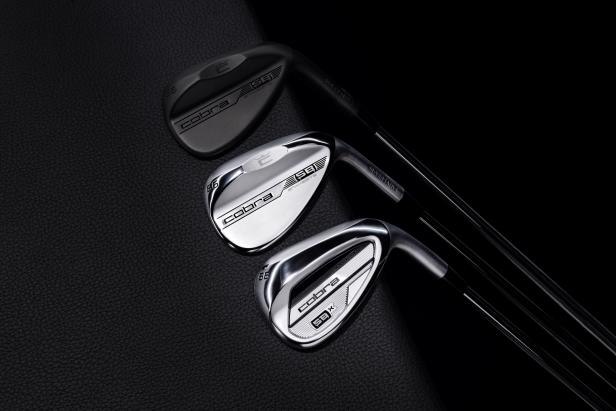 cobra-snakebite-wedges:-what-you-need-to-know