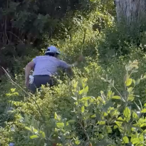 us.-open-2023:-adam-hadwin-tosses-golf-club-into-bushes,-has-to-take-embarrassing-walk-of-shame-to-retrieve-it