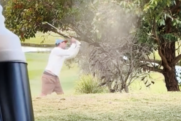 golfers-paired-with-random-lunatic,-capture-video-of-him-attacking-a-tree-before-getting-kicked-off-the-course