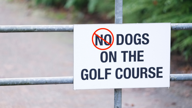 iconic-golfer-walks-10-dogs-while-getting-a-round-in,-is-living-the-dream