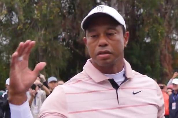 The Tiger Woods “big dog” meme has officially taken over the Internet
