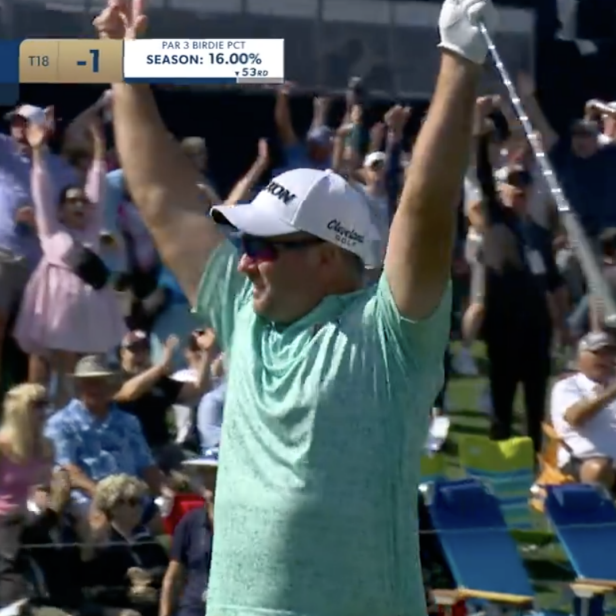 players-2024:-ryan-fox-makes-hole-in-one-on-no.-17-and-becomes-first-to-accomplish-this-feat-in-tournament-history