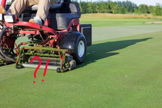 ask-a-super:-we-all-want-fast-greens,-why-can’t-you-just-cut-them-shorter?