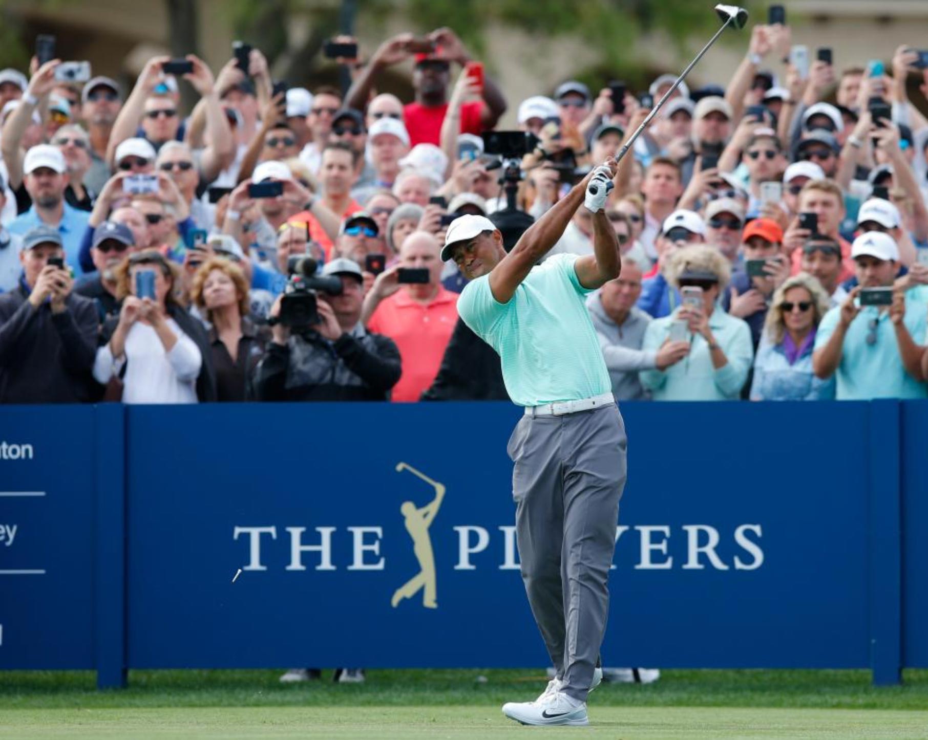 Tiger Woods out of the 2024 Players Championship Australian Golf Digest