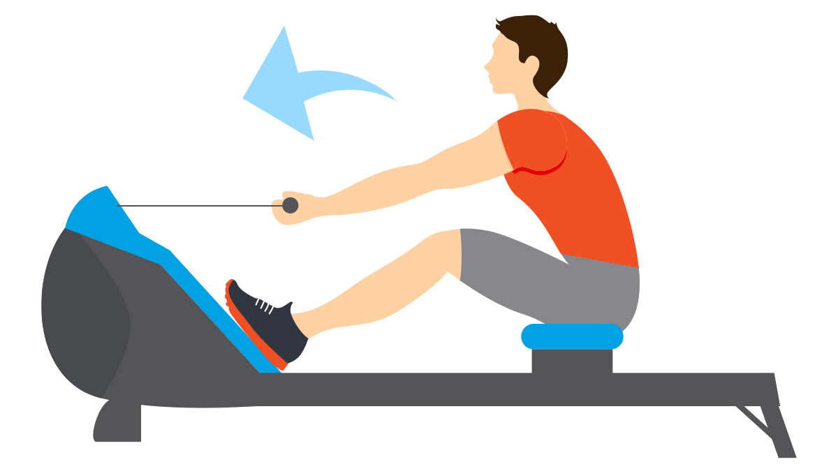 Healthy Golfer: Rowing Is An Awesome Exercise For Golfers - Australian ...