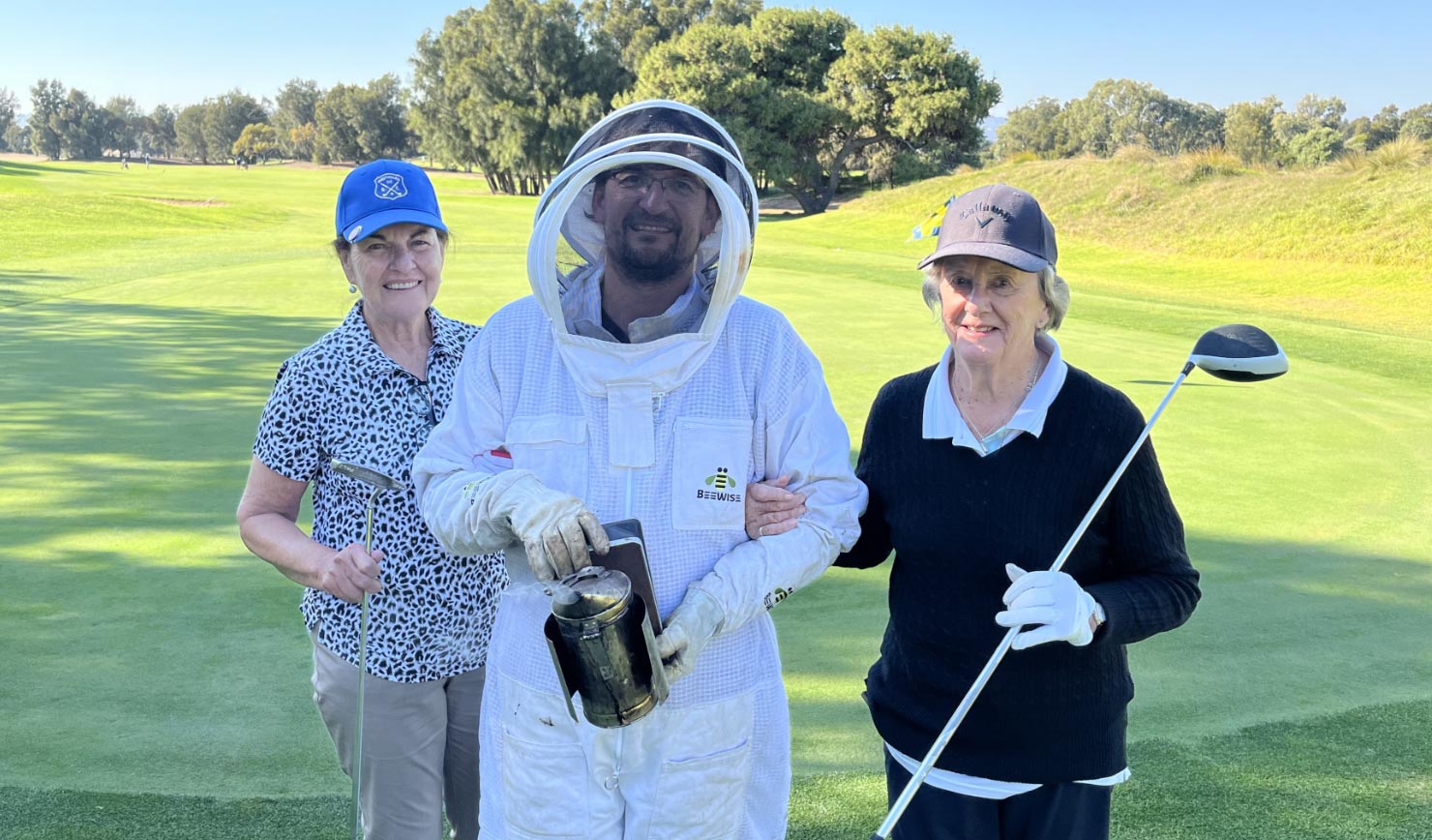 Busy bees bring a hive of activity to Adelaide’s West Beach Parks – Australian Golf Digest